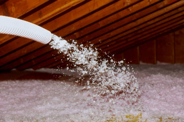 Best Specialized Insulation Services in Lake Shore, UT