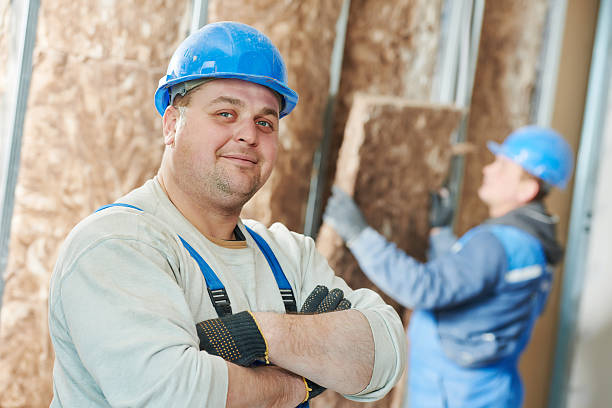 Best Cellulose Insulation in Lake Shore, UT